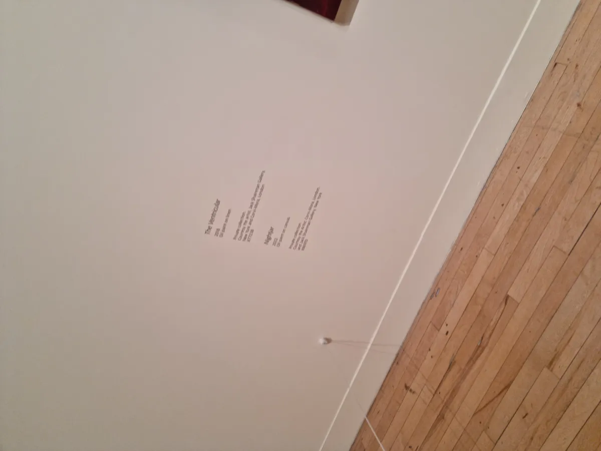 Lynette Yiadom-Boakye Gallery Image 172